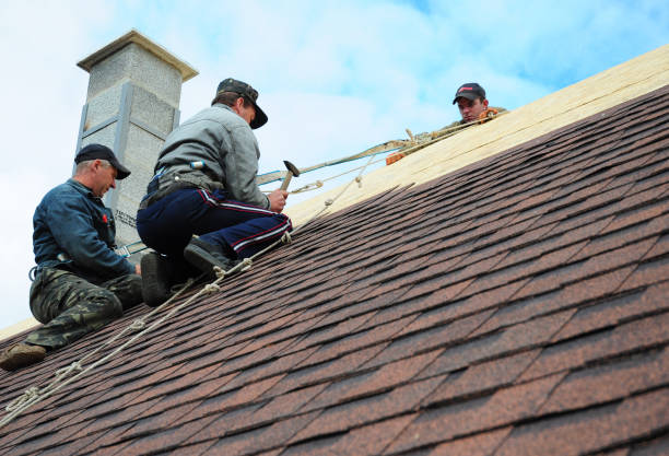 Best Roof Maintenance Services  in Linden, AZ