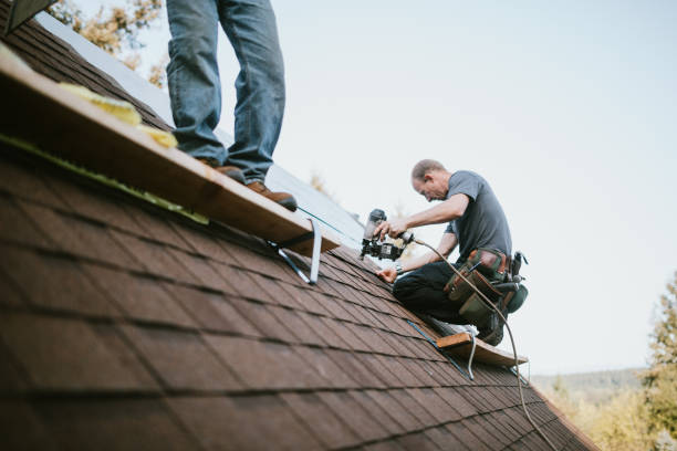 Best Local Roofing Companies  in Linden, AZ