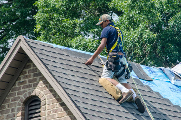 Best Best Roofing Contractors  in Linden, AZ